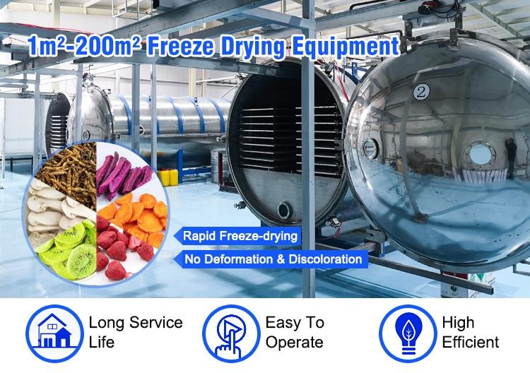 freeze dryer freeze dryer
