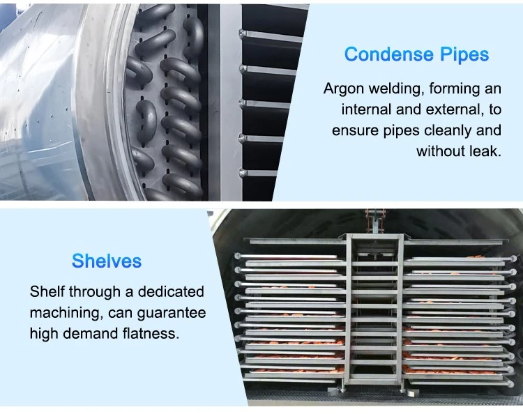 freeze dryer freeze dryer